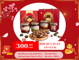 Hộp Hạt Dinh Dưỡng Quà Tặng  Xuân An Vui 01