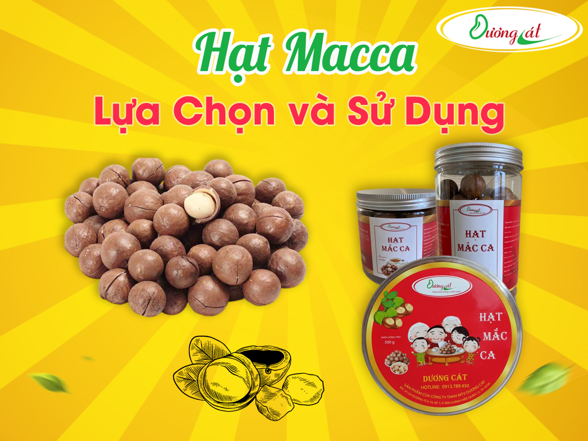 Bạn Đã Biết Chọn Lựa Và Sử Dụng Hạt Macca Đúng Cách Chưa