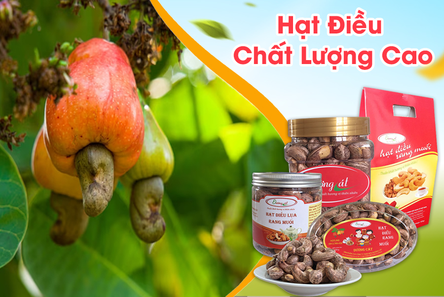 Hạt điều thượng hạng nâng tầm giá trị vươn xa thế giới