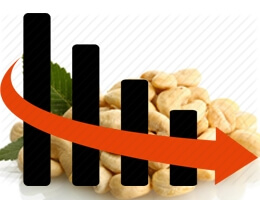 Cập nhật giá hạt điều nhân ngày 22/6/2018