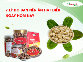 7 ly do ban nen hat dieu ngay hom nay1711341347