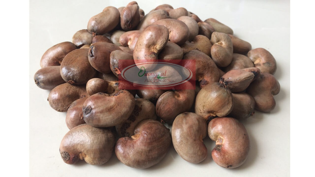 HẠT ĐIỀU THÔ 4 Phoi 4