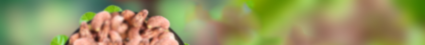 Bg Banner