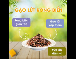 gao lut rong bien duong cat co gi dac biet1716352836