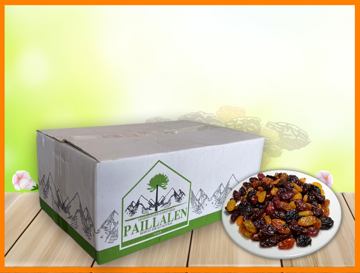 RAISIN 5Kg