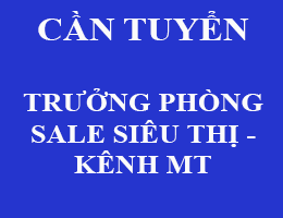 thong tin tuyen dung truong phong sale sieu thi kenh mt1606367132